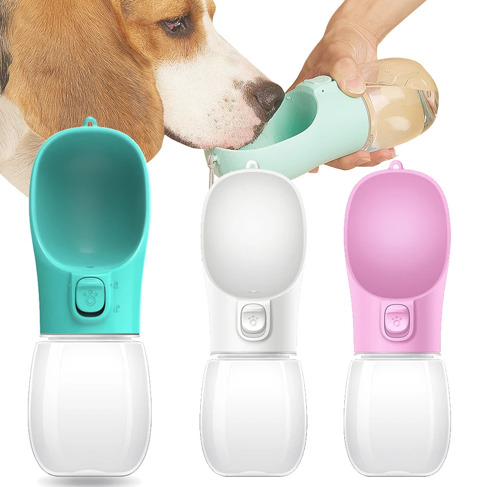 Bouteille d'eau portable pour chiens et chats chats, étanche
