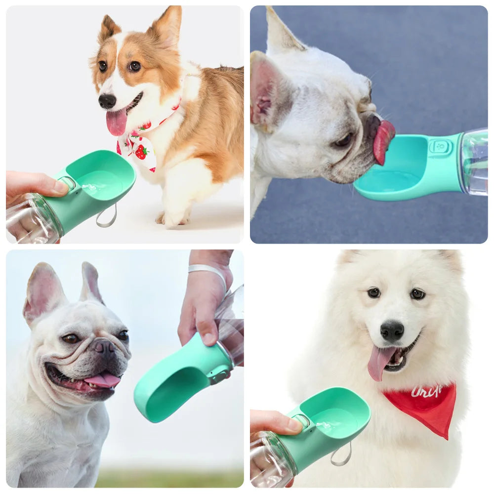 Bouteille d'eau portable pour chiens et chats chats, étanche
