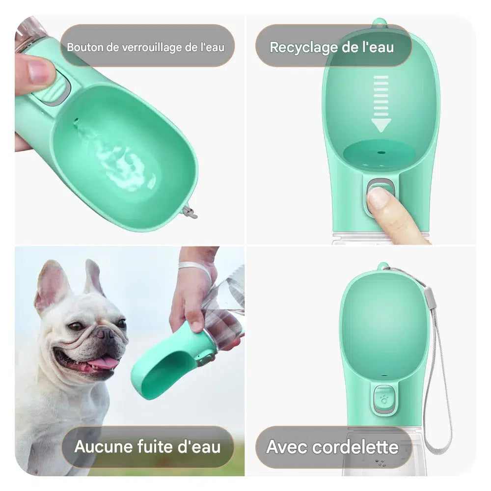 Bouteille d'eau portable pour chiens et chats chats, étanche